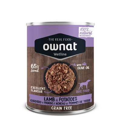 Lamb With Potatoes Dog 395G