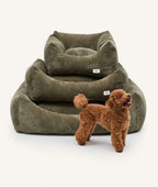 CAFIDE - Cama para Perros de Pana Negra, Snozy