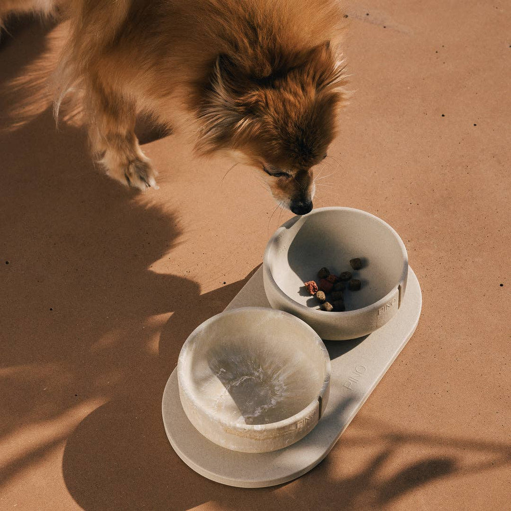 Pino – Classic Dog Bowl – Ultra-durable Sandstone & Hypoallergenic