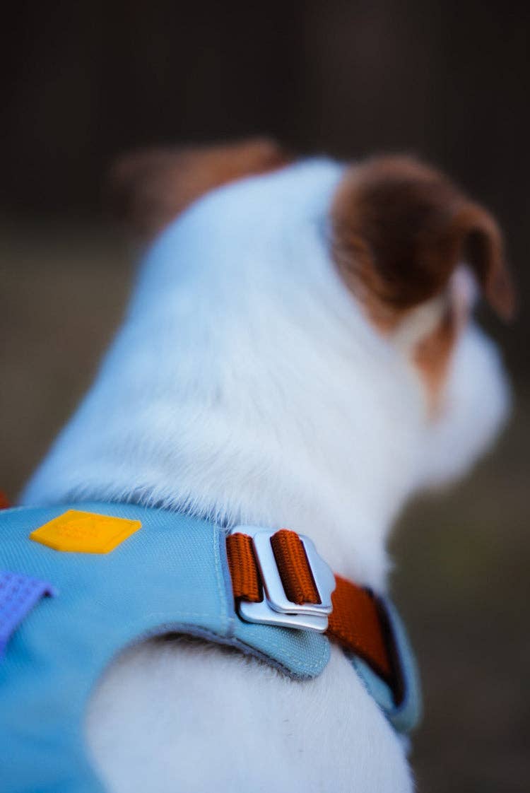 Woolly Wolf – Alpha 360 Harness – Recycled RPET
