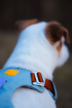 Woolly Wolf – Alpha 360 Harness – Recycled RPET