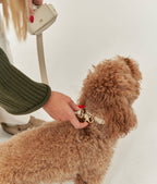 CAFIDE – Correa Multi-Posición Jala Beige– Cuero Vegano