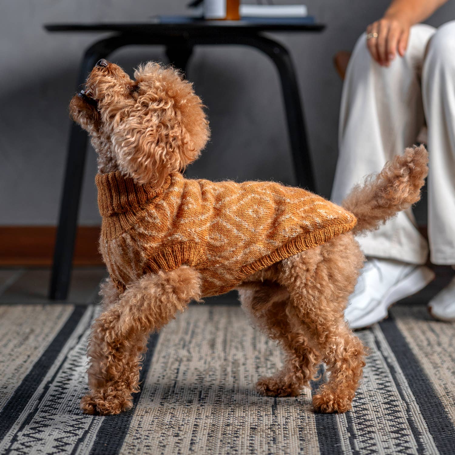 Alqo Wasi - Golden Ochre Alpaca Dog Sweater