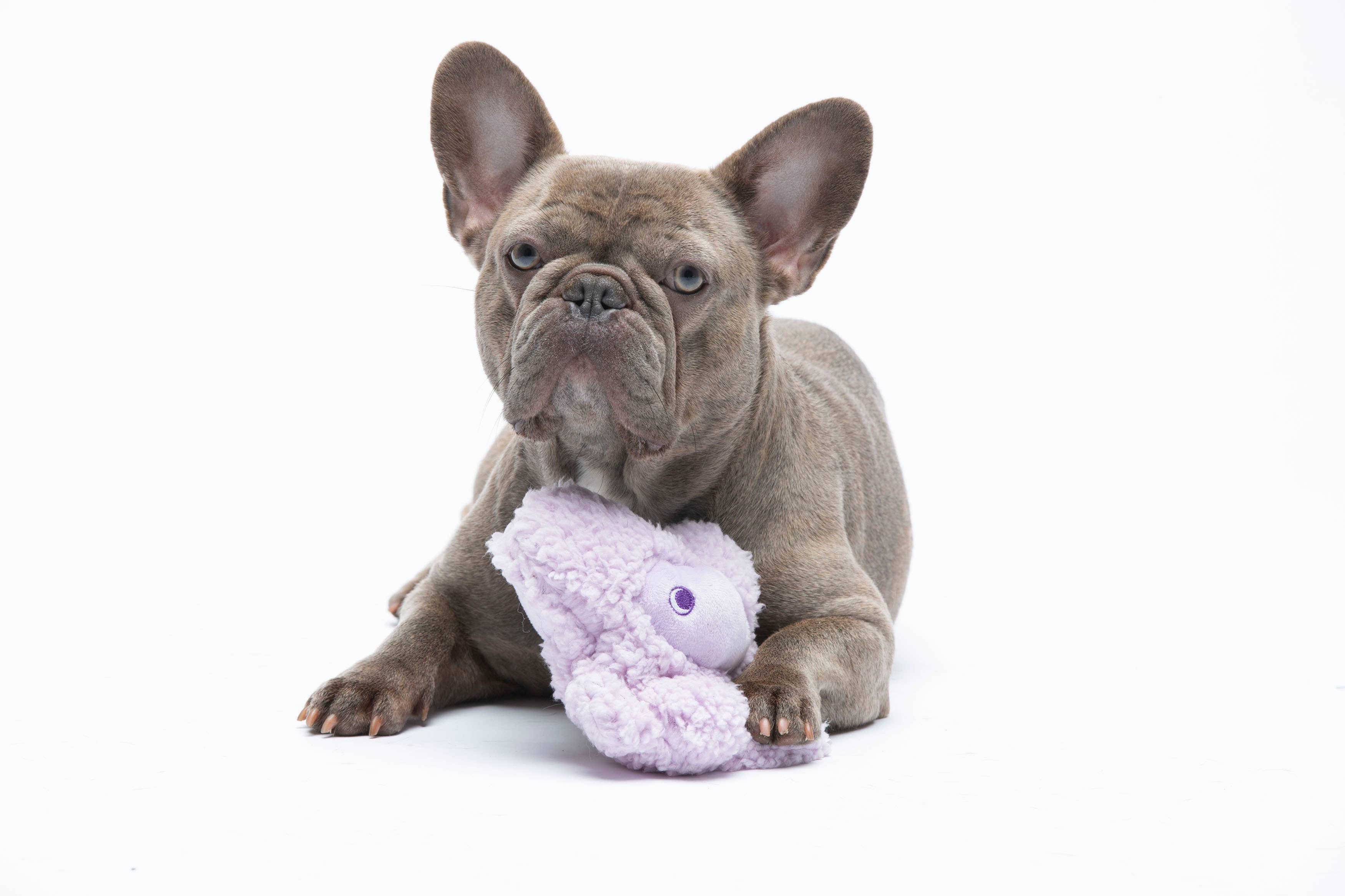 United Pets – Nocciolino – Anti Stress Plush Dog Toy With Essential Oils