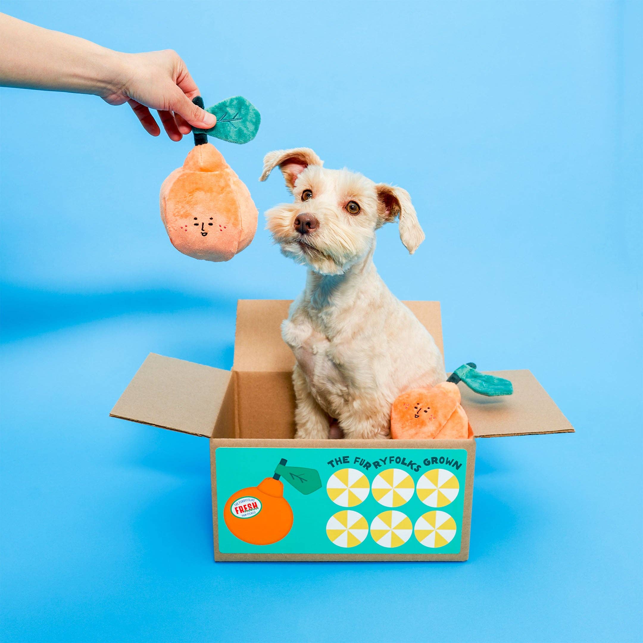 The Furryfolks – Orange – Dog Interactive Nosework Toy