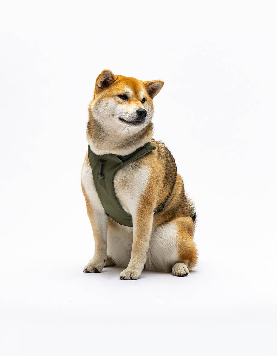 United Pets – Citylife H-Harness Green – Padded Comfort