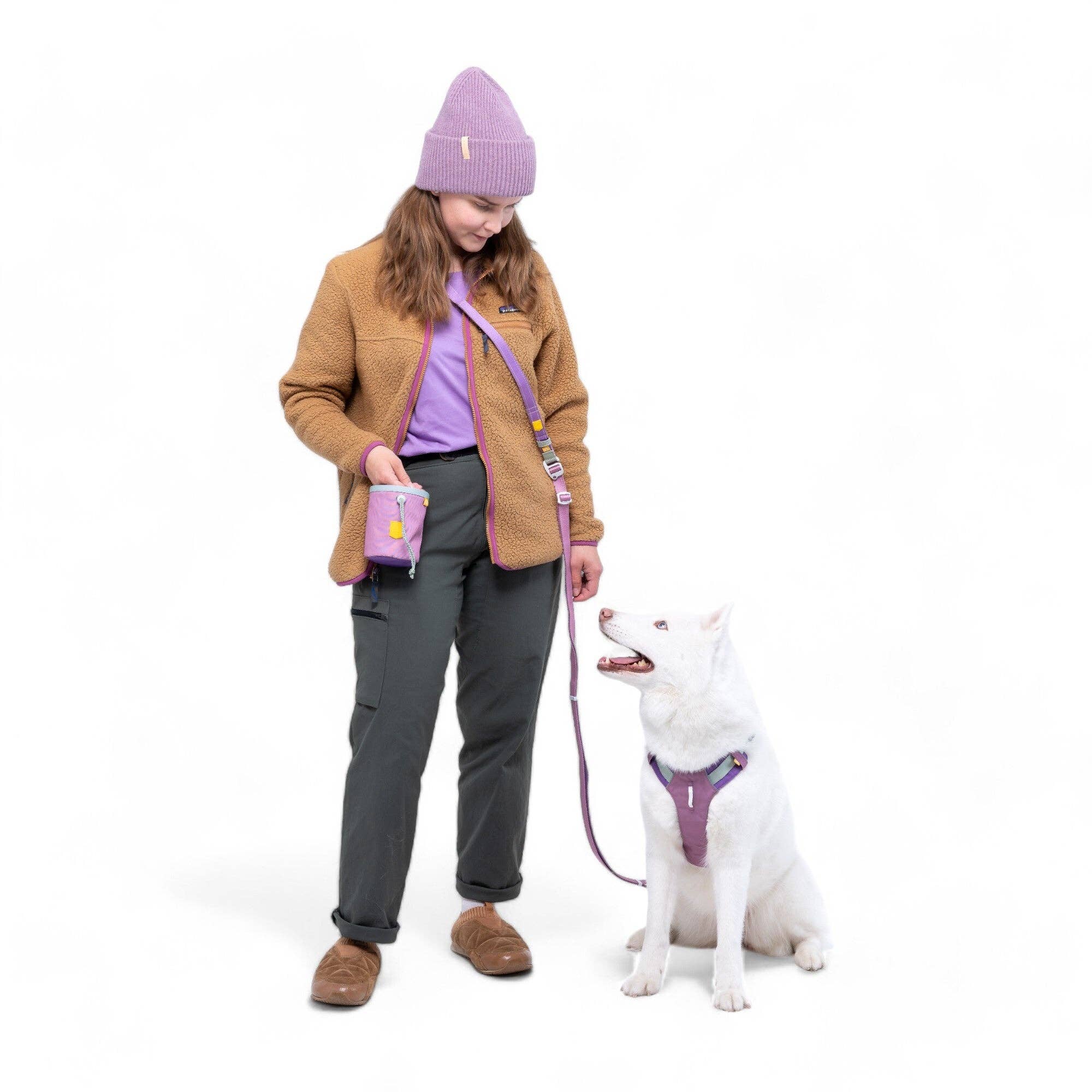 Woolly Wolf – Multi-Use Leash – Recycled RPET