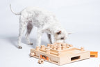 My Intelligent Dogs Turtle - Interactive Puzzle Toy for Dogs