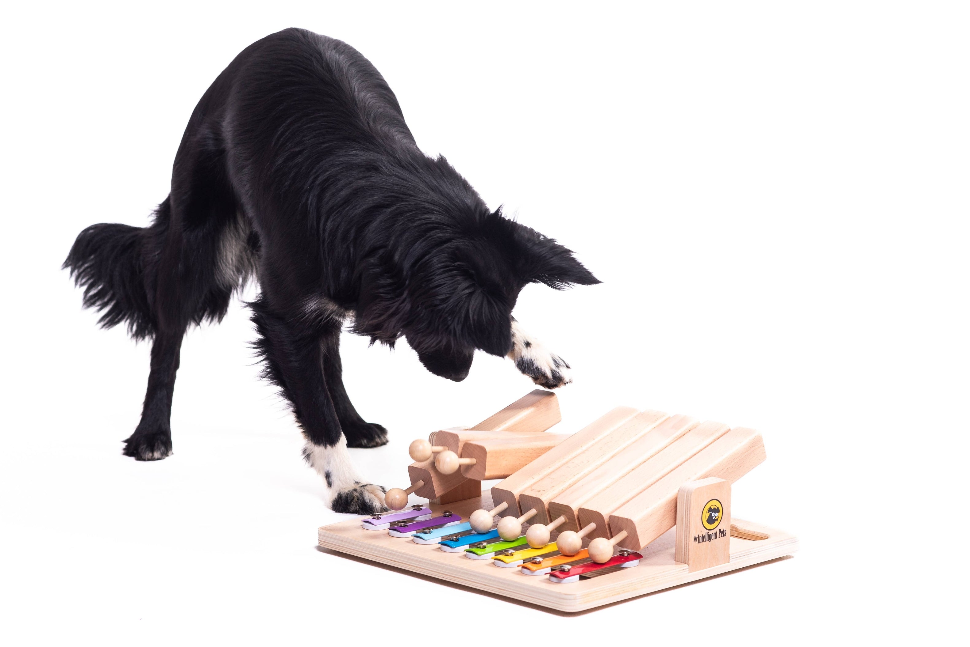 My Intelligent Dogs Piano – Juguete Puzzle para perros