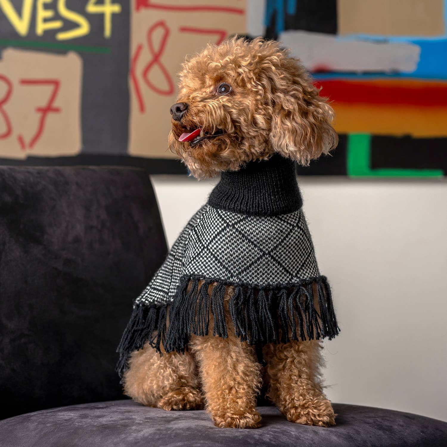 Alqo Wasi - Diamond Black Alpaca Dog Poncho