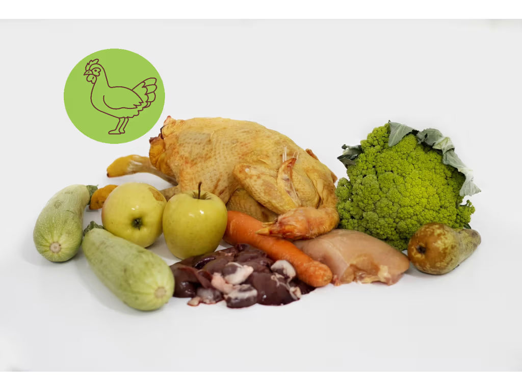 MoltBoo – Menú BARF de Pollo