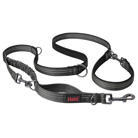 Halti – Anatomy Multiposition Leash – Grey