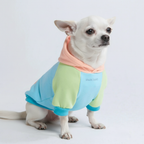 Spark Paws - Sudadera con Capucha - Color Block