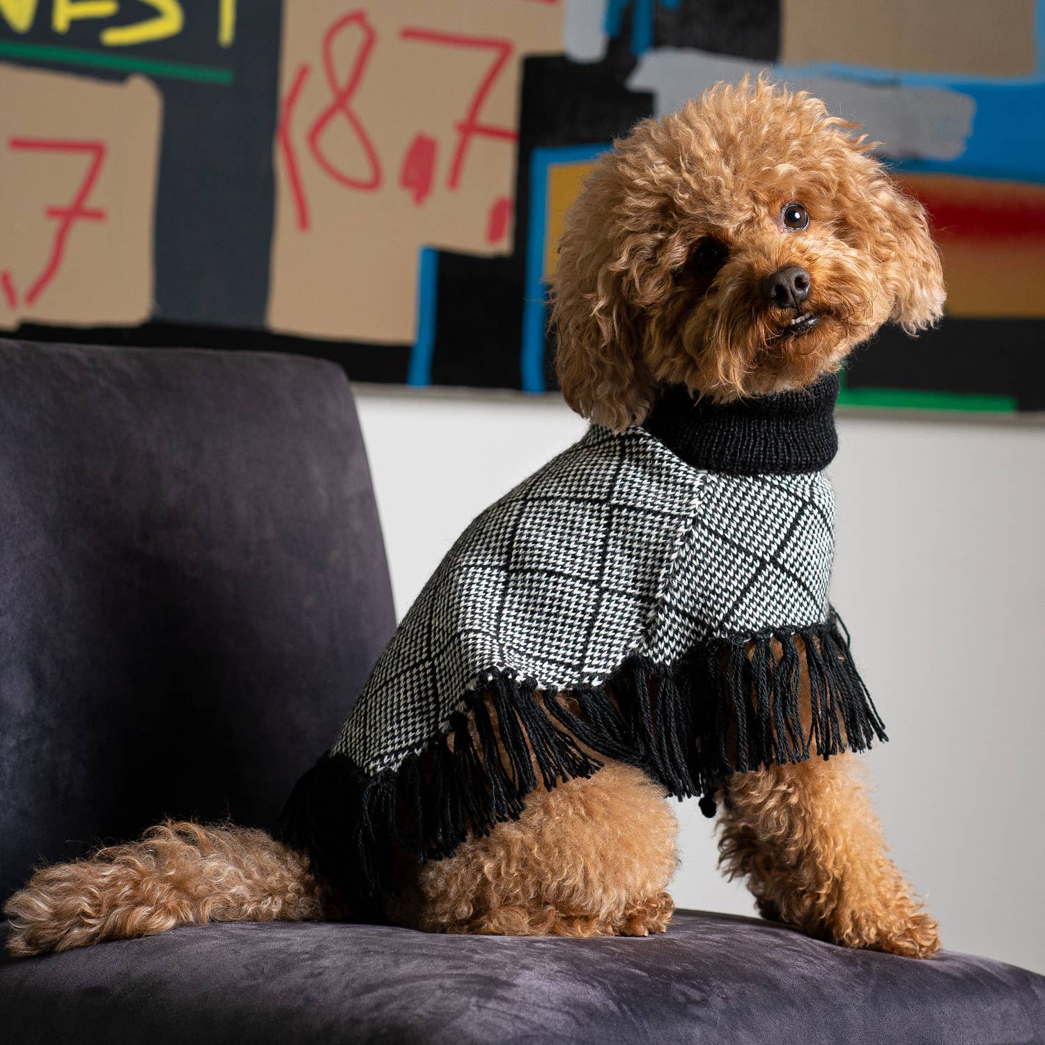 Alqo Wasi - Diamond Black Alpaca Dog Poncho