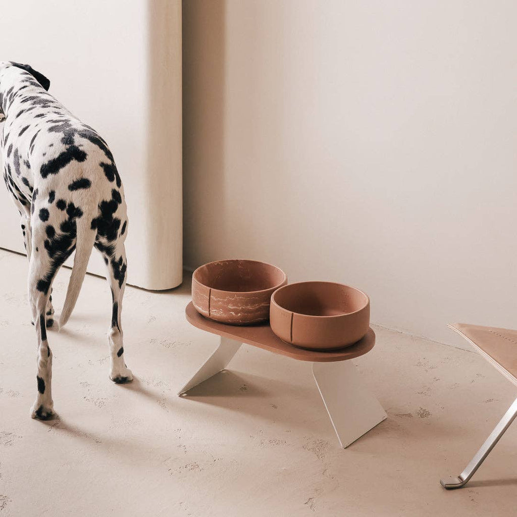 Pino – Cuenco Clásico para Perros – Ultra-durable Arenisca & Hipoalergénico