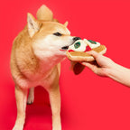 The Furryfolks – Pizza – Dog Interactive Nosework Toy