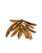 Mr.Bones Natural Dog Chews – Atlantic Mackerel – Natural Dental Health