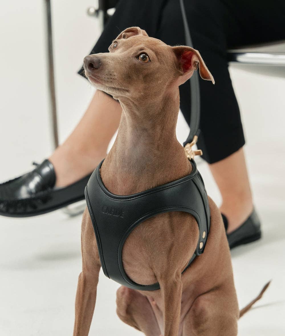CAFIDE – Jala Harness – Vegan Leather