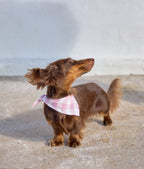 CAFIDE – Pink Vichy Bandana – Soft Cotton
