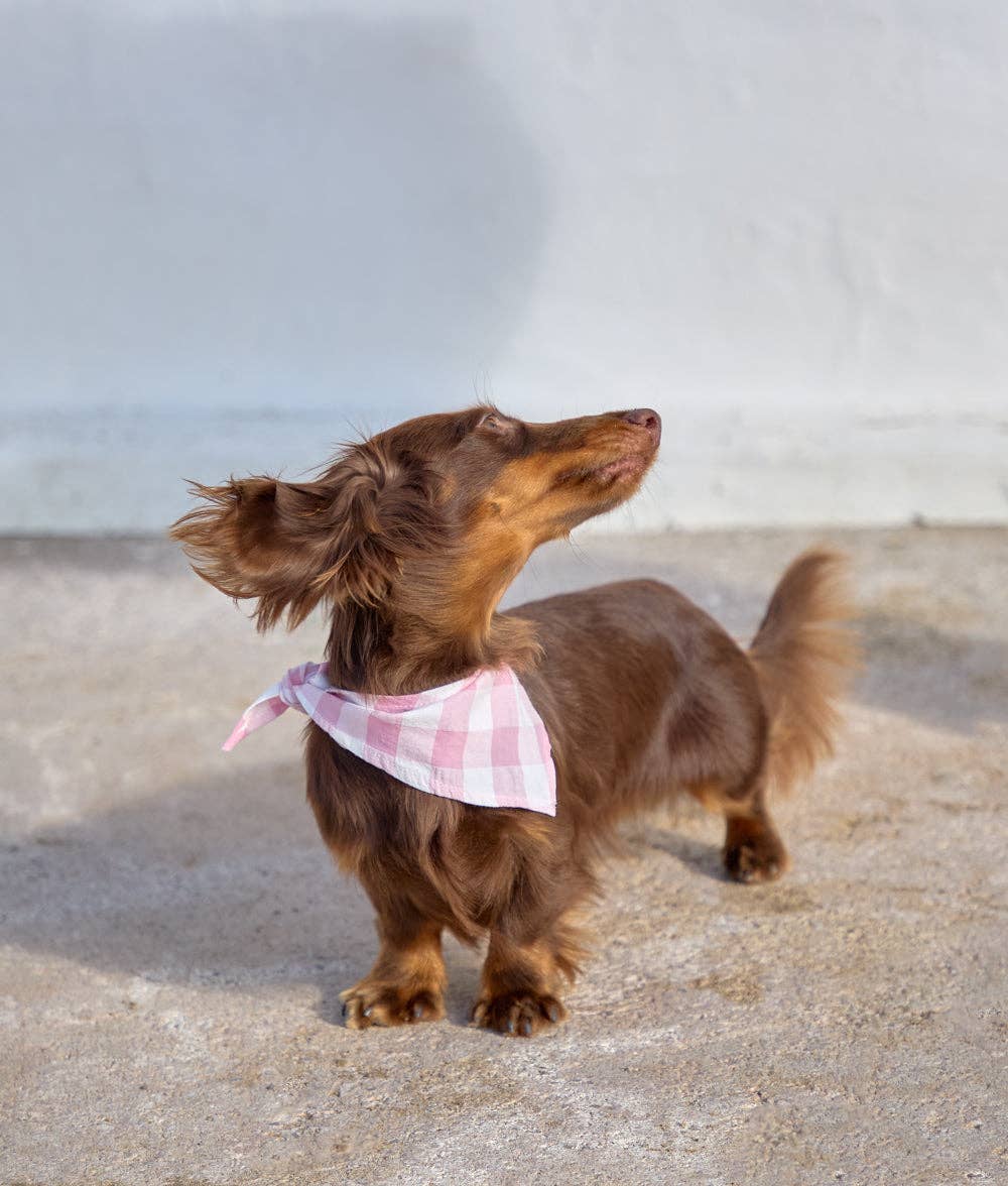 CAFIDE – Pink Vichy Bandana – Soft Cotton