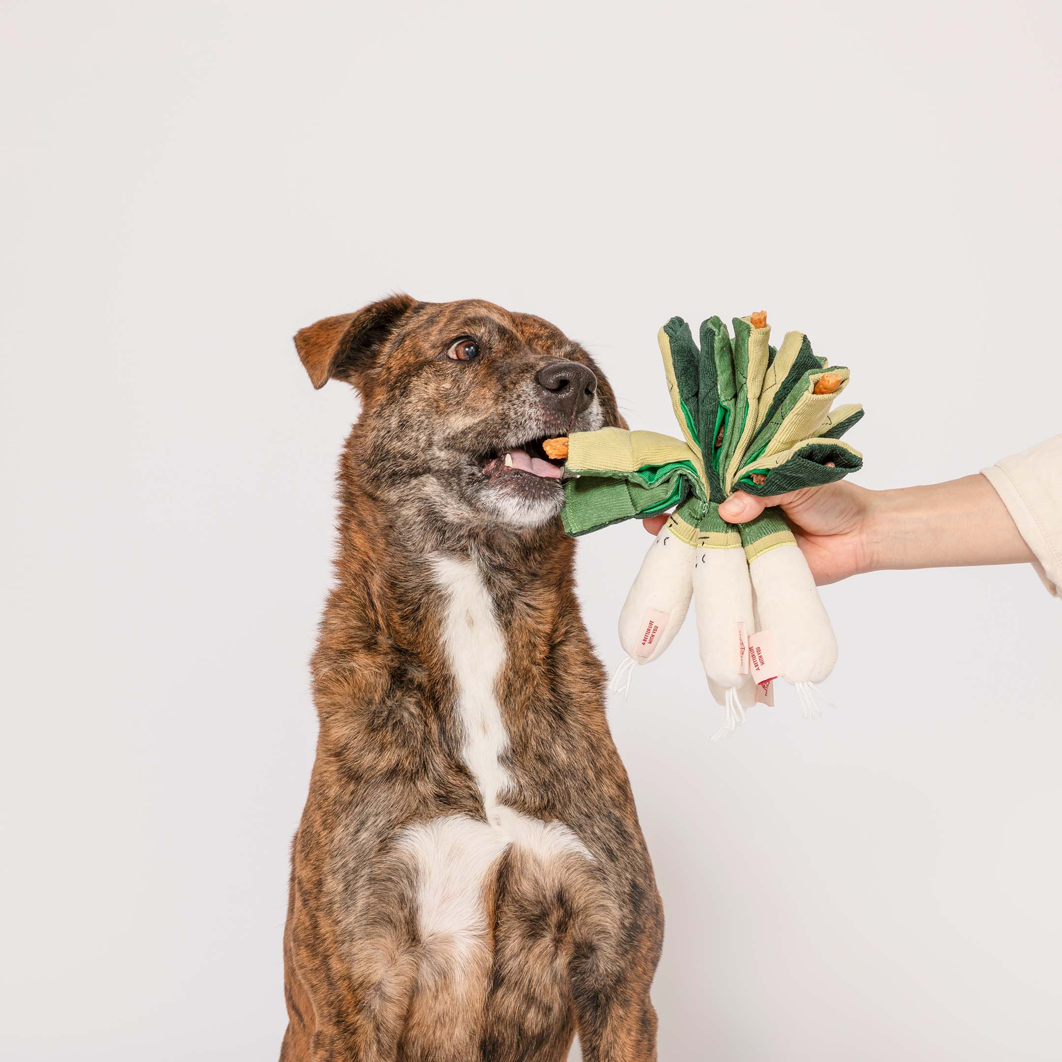 The Furryfolks – Green Onion – Dog Interactive Nosework Toy