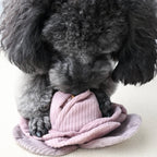 Lambwolf – Cabbage – Enrichment Dog Toy