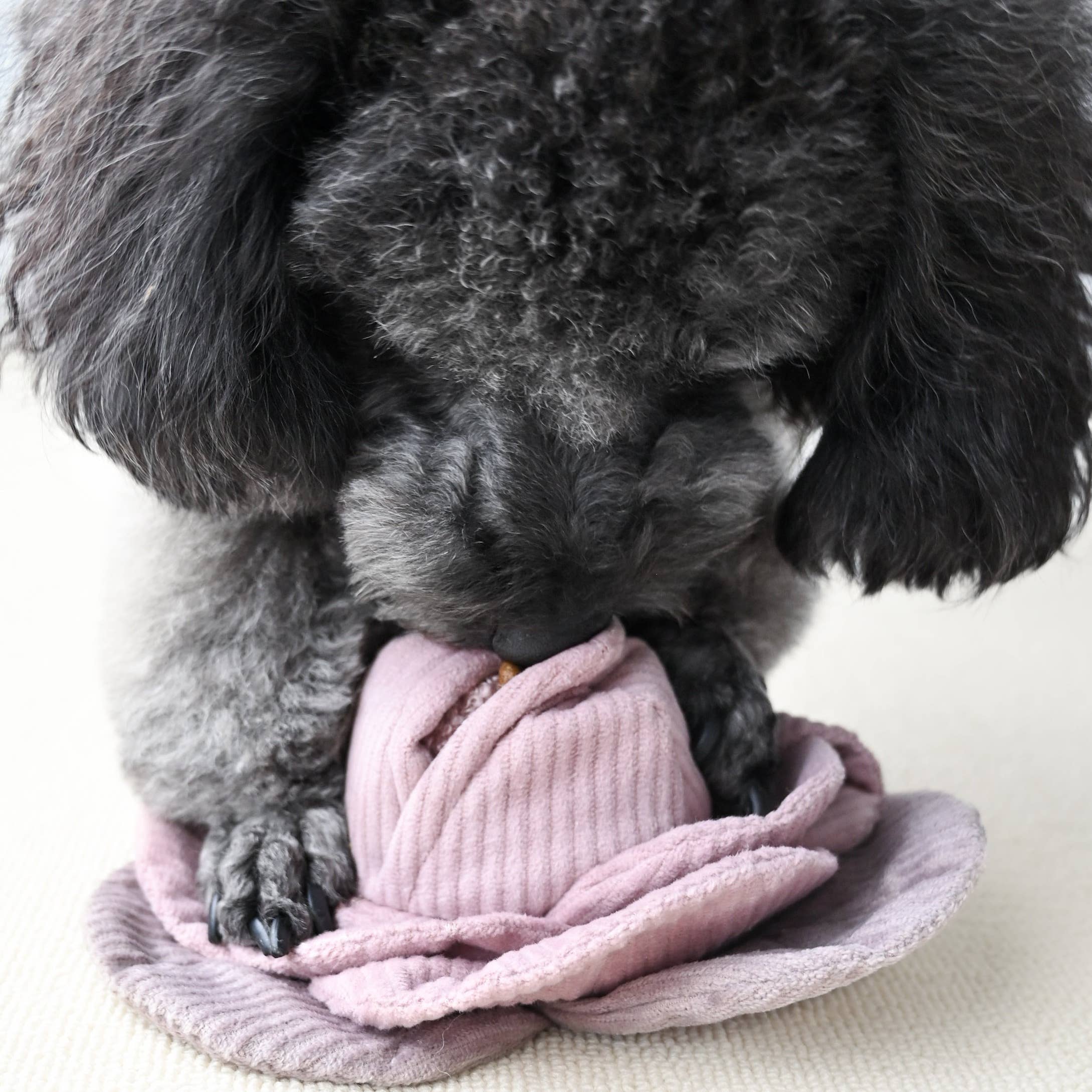 Lambwolf – Cabbage – Enrichment Dog Toy