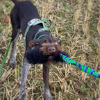 Tug-e-Nuff – WondaBaa Sheepskin Bungee Tug