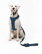 United Pets – Citylife H-Harness Jeans – Padded Comfort