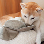 Lambwolf – Cabbage – Enrichment Dog Toy