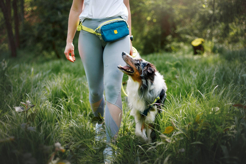 Woolly Wolf - Alpha 360 Hip Pack Deep Teal Recycled (RPET)