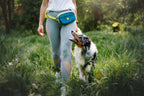 Woolly Wolf - Alpha 360 Hip Pack Deep Teal Recycled (RPET)