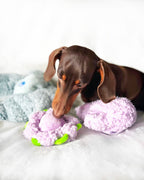 United Pets – Gascetto – Juguete Para Perros De Peluche Antiestrés Con Aceites Esenciales