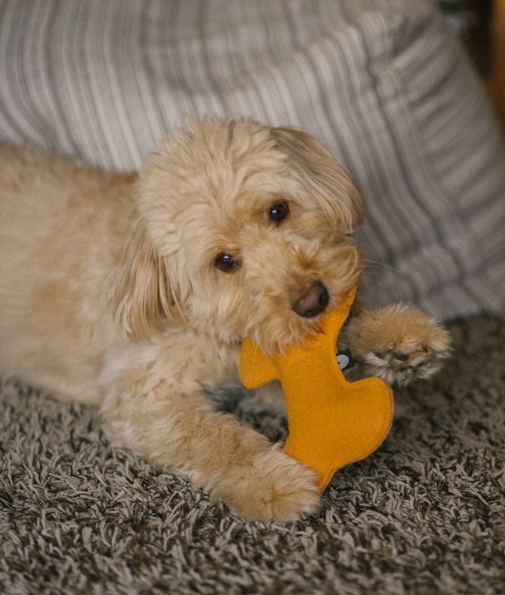 CAFIDE – Mustard Bone – Tela Reciclada