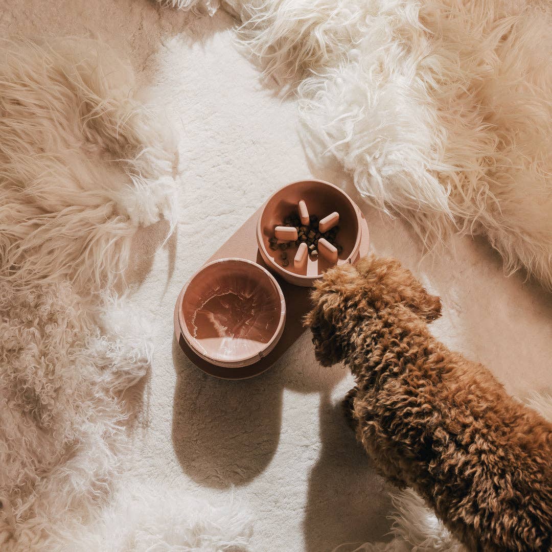 Pino – Cuenco Clásico para Perros – Ultra-durable Arenisca & Hipoalergénico