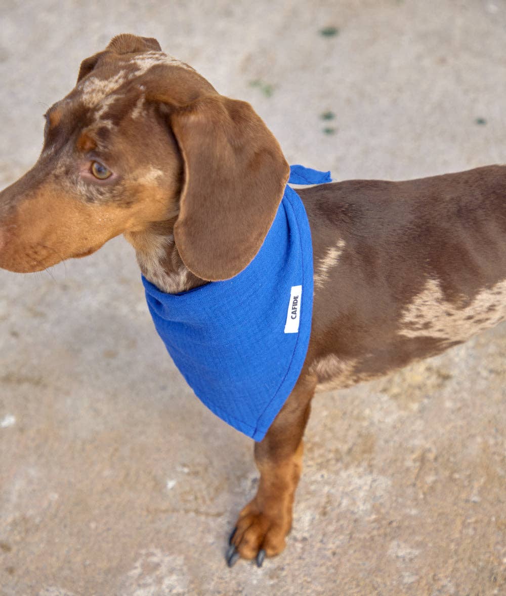 CAFIDE – Electric Blue Bandana – Soft Cotton