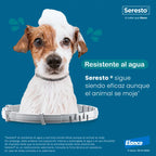 Seresto – Collar Antipulgas y Garrapatas – Perros Grandes > 8kg