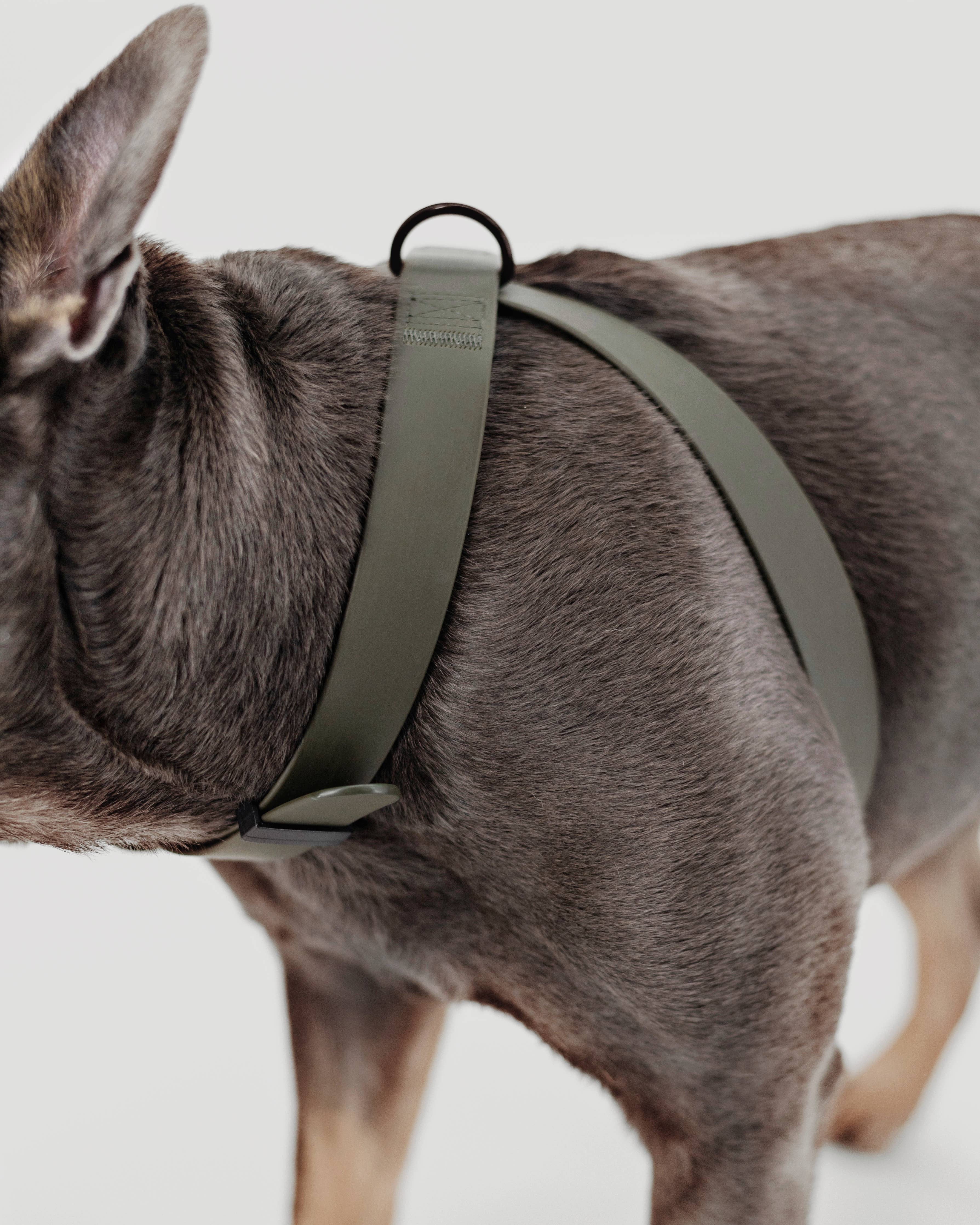 Lambwolf – Otto Harness – Waterproof