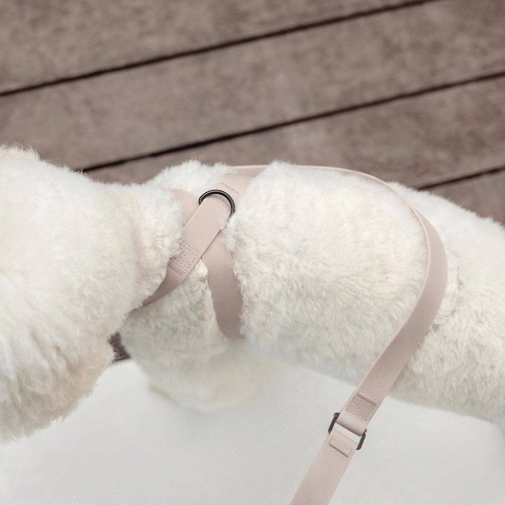 Lambwolf – Otto Harness – Waterproof