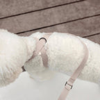 Lambwolf – Otto Harness – Waterproof