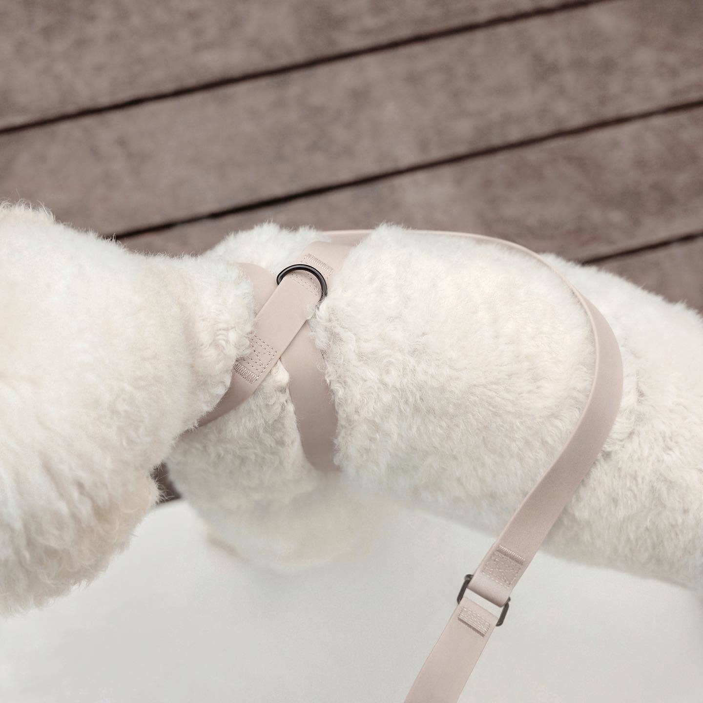 Lambwolf – Otto Harness – Waterproof