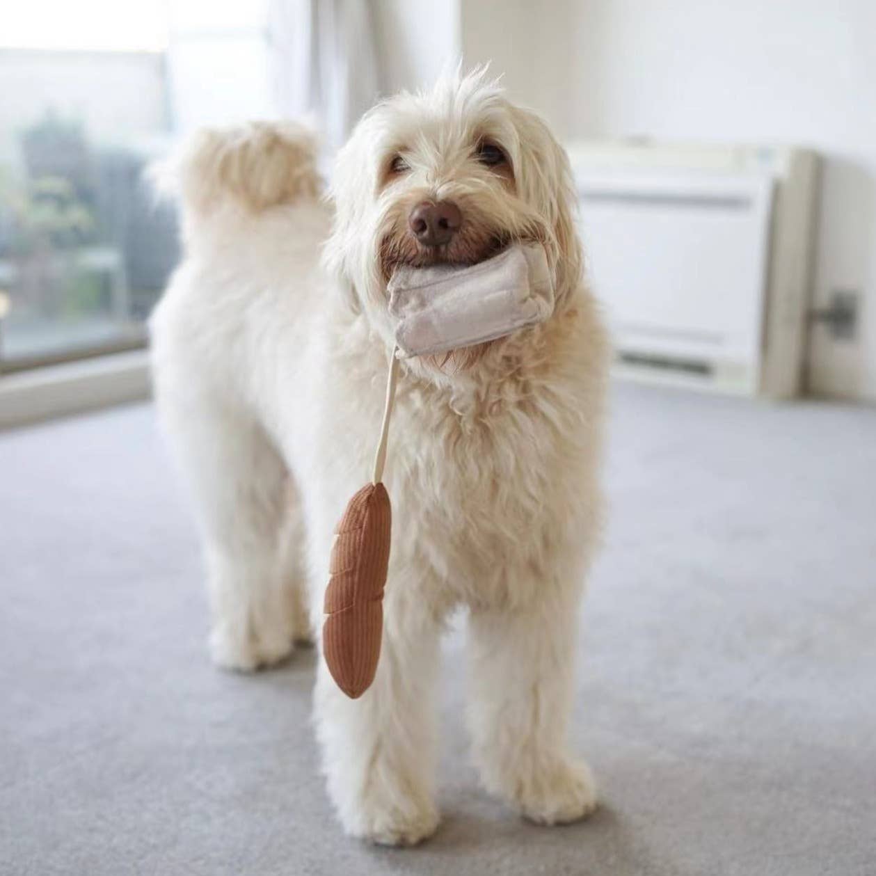 Lambwolf – Mini Baguette – Enrichment Dog Toy