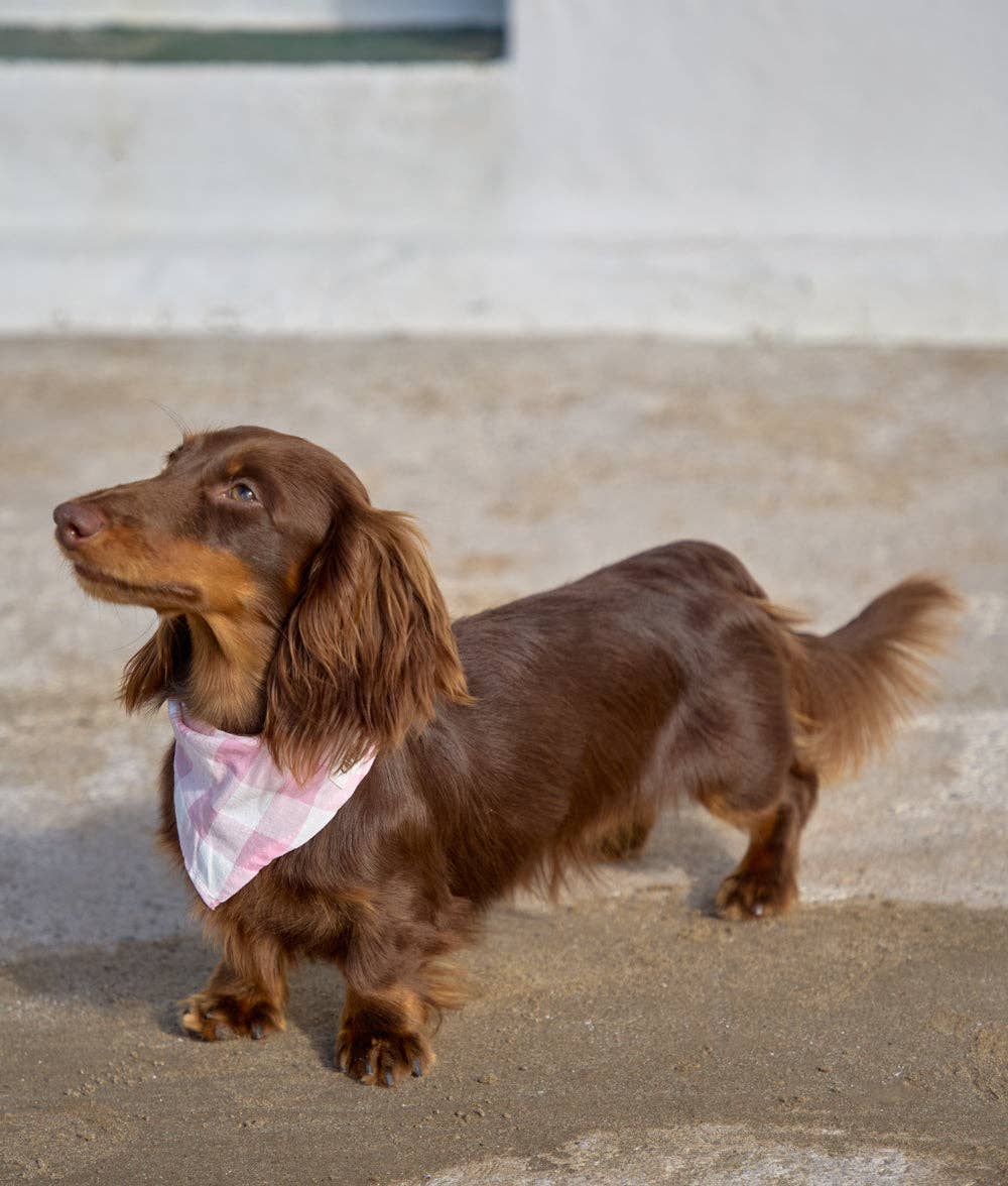 CAFIDE – Pink Vichy Bandana – Soft Cotton