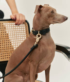 CAFIDE - Collar de cuero vegano negro, Jala