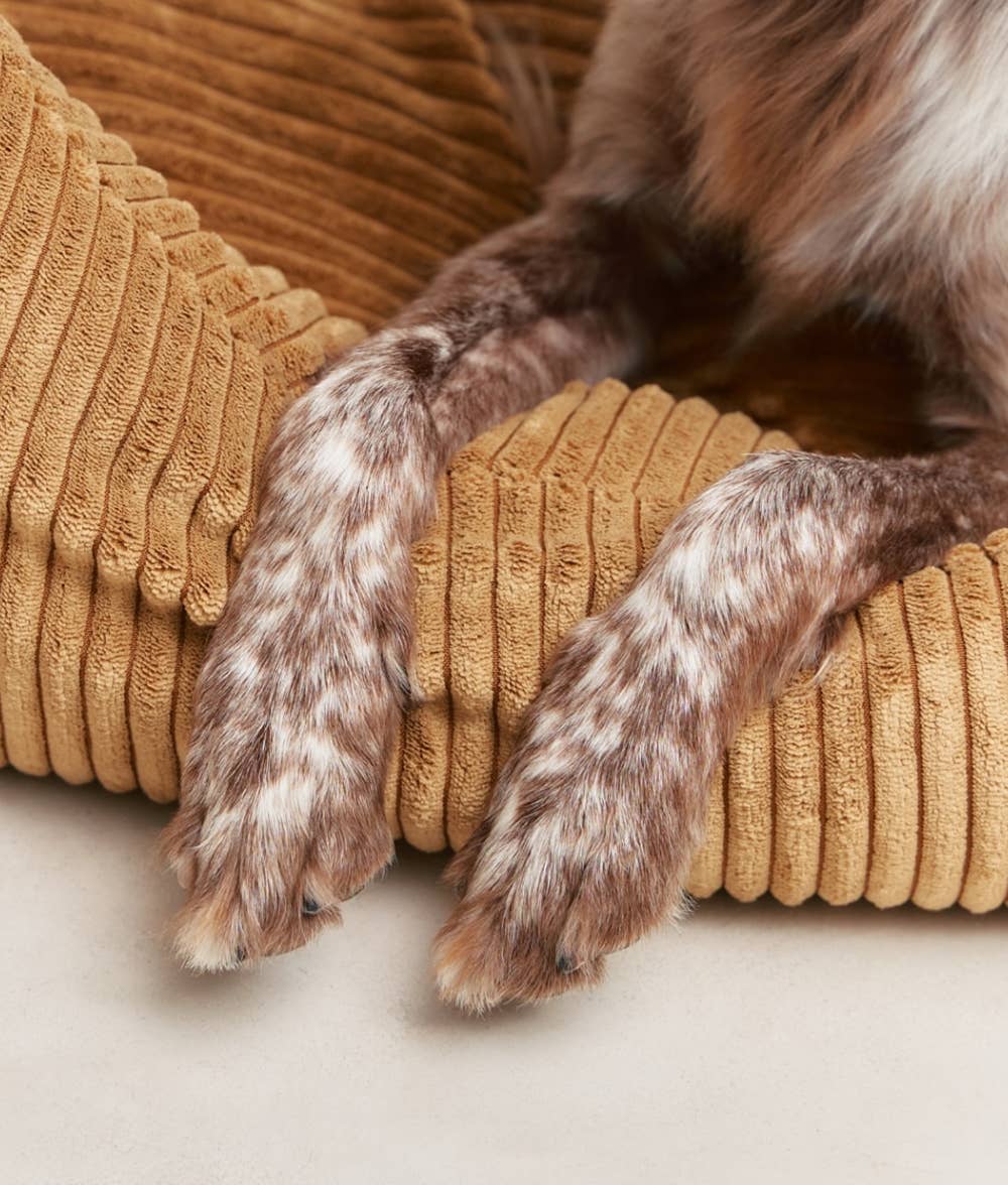 CAFIDE – Mustard Corduroy – Recycled Foam Fill Dog Bed
