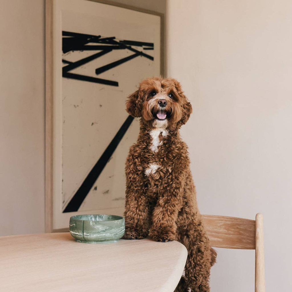 Pino – Cuenco Clásico para Perros – Ultra-durable Arenisca & Hipoalergénico