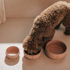 Pino – Classic Dog Bowl – Ultra-durable Sandstone & Hypoallergenic