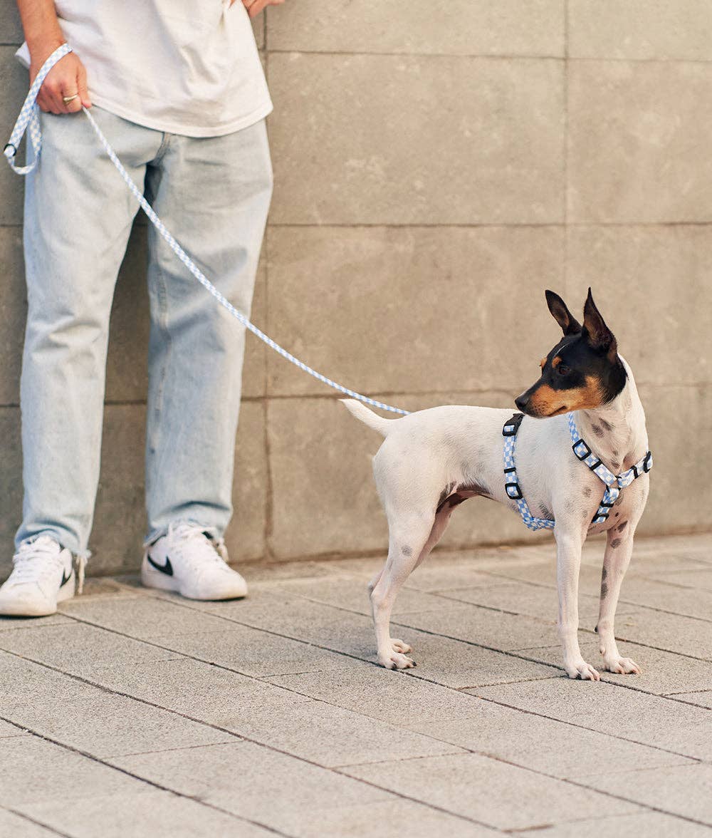 CAFIDE – Juno Harness – Recycled PET