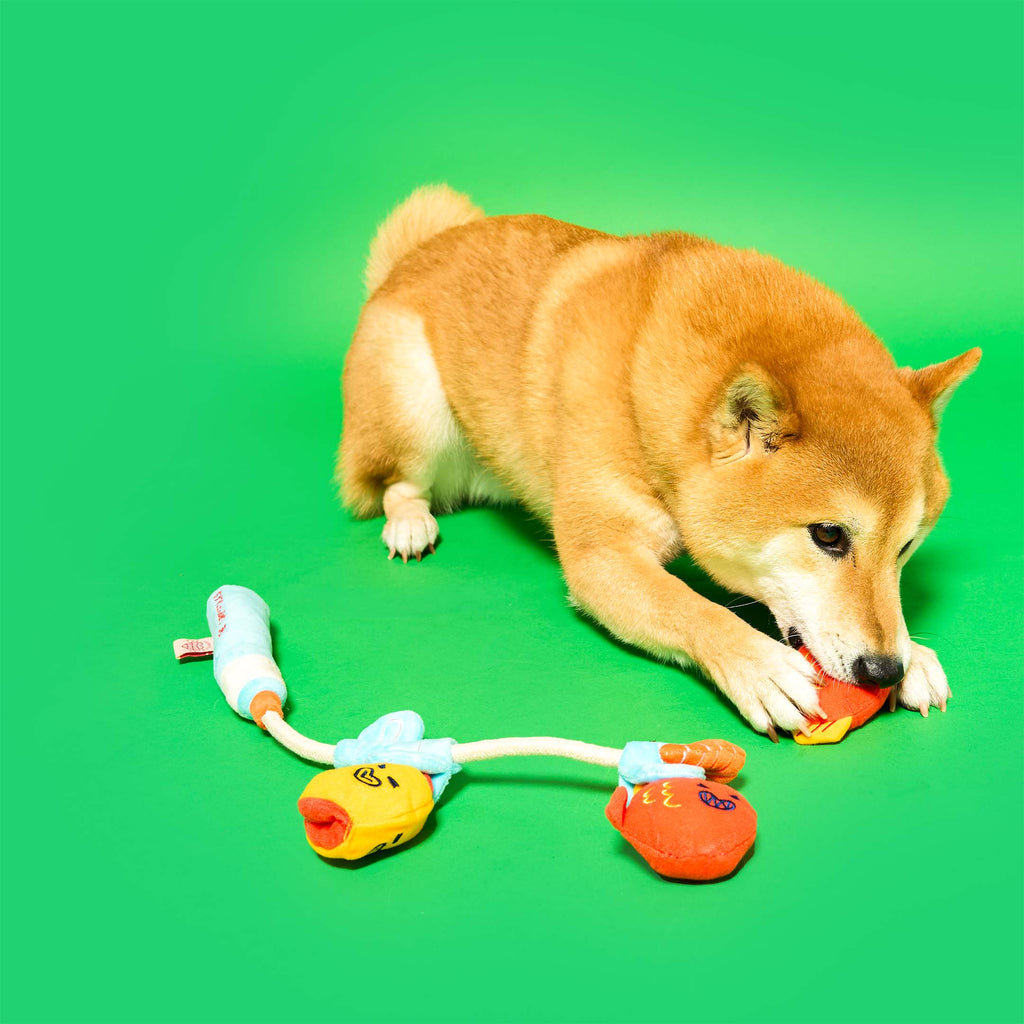 The Furryfolks – Fishing – Jugete Interactivo Tira y Afloja