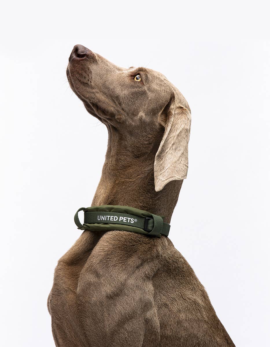 United Pets – Citylife Collar Green – Eco-Friendly